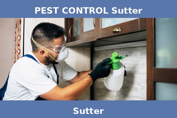 PEST CONTROL Sutter